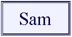 Text Box:    Sam